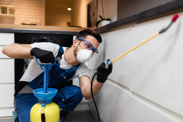 Best Affordable Pest Control Services  in Aust, IN