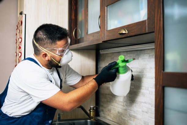 Wasp Removal Services in Austin, IN