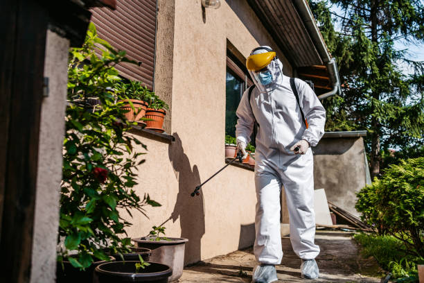 Best Exterminator Services  in Aust, IN