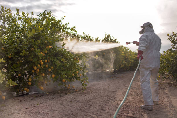 Best Affordable Exterminators  in Aust, IN