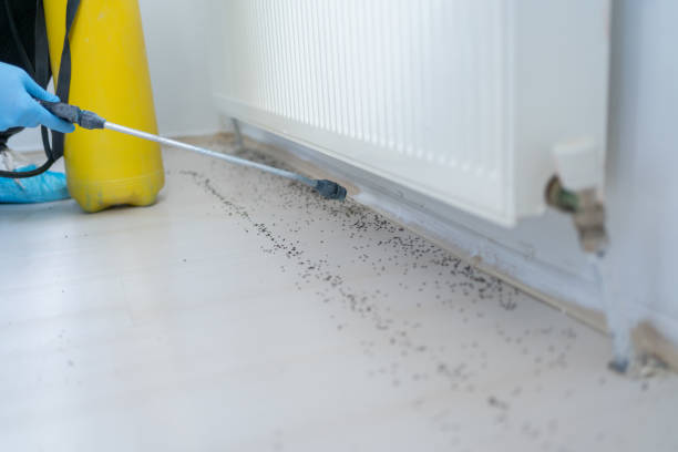 Best Best Pest Control Companies  in Aust, IN