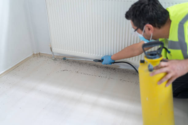 Best Bed Bug Extermination  in Aust, IN