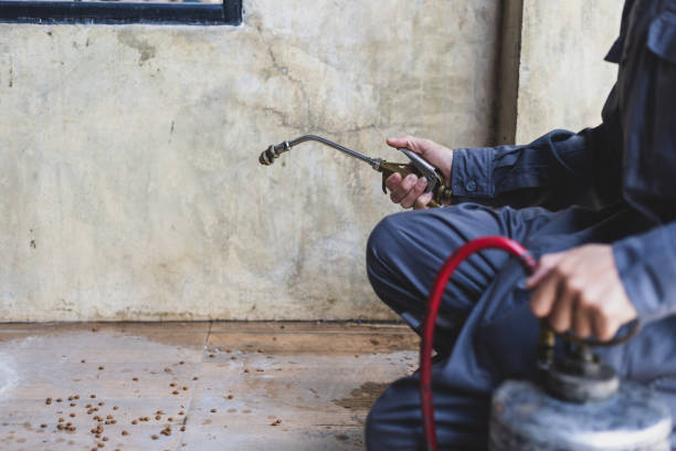 Best Best Pest Control Companies  in Aust, IN